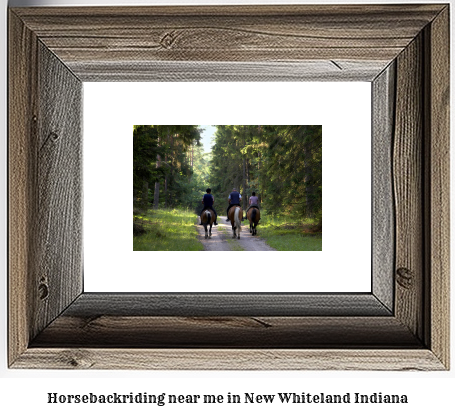 horseback riding near me in New Whiteland, Indiana